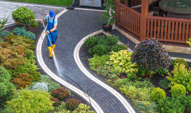 Best Residential Pressure Washing Services  in Albany, LA